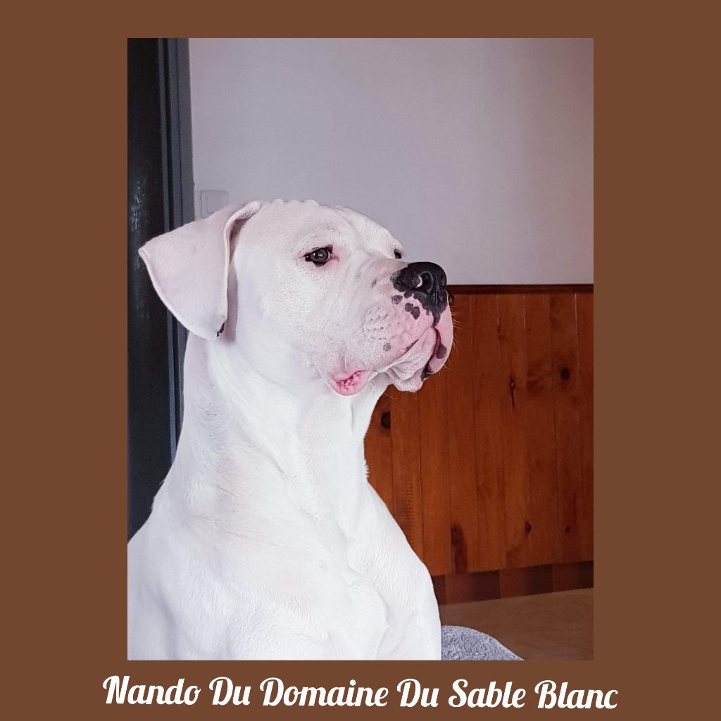 Nando du Domaine du Sable Blanc