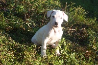 GASKO Du Domaine Du Sable Blanc