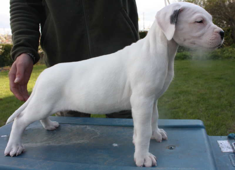 Heresia du Domaine du Sable Blanc