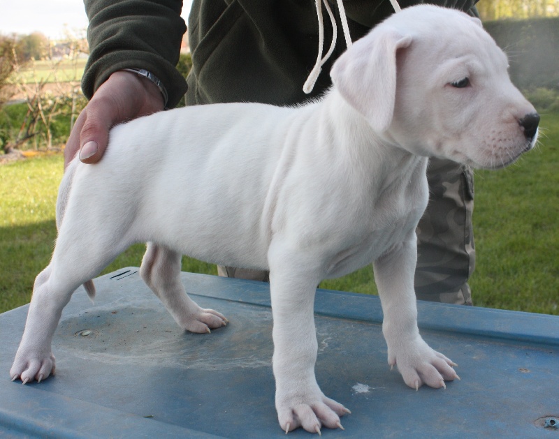 Hilda du Domaine du Sable Blanc
