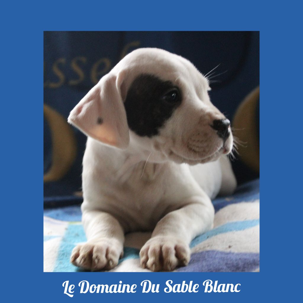 O-ares du Domaine du Sable Blanc