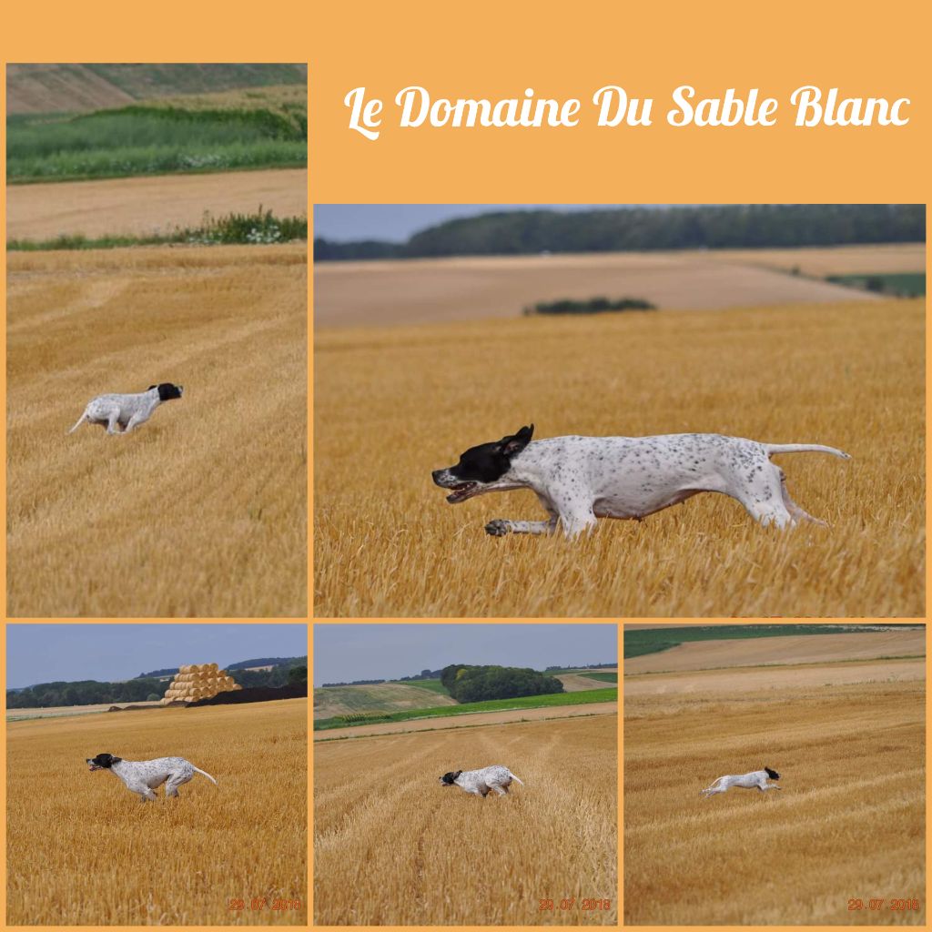 Lethy Du mont d ergny