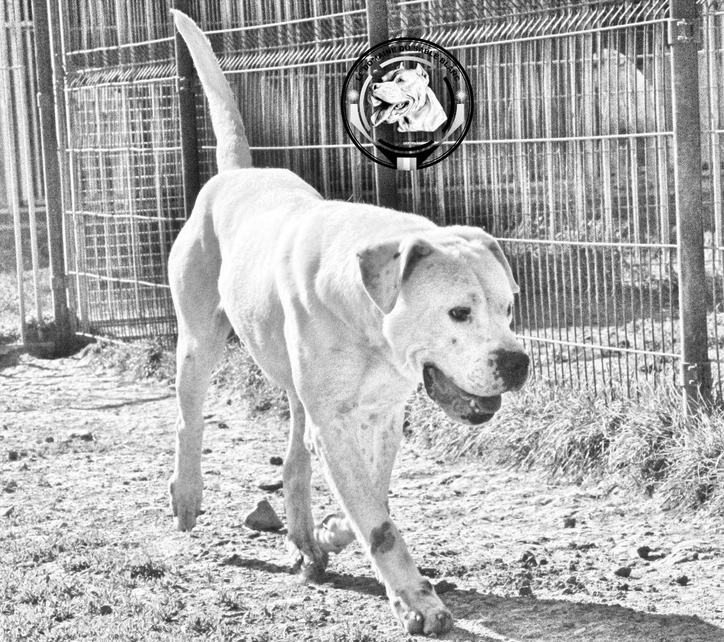 Lucho du Domaine du Sable Blanc